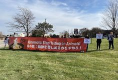 Protest for Animal Rights