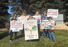 Protest for Animal Rights