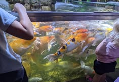 Protest for Animal Rights