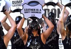 Protest for Animal Rights