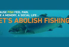 Protest for Animal Rights