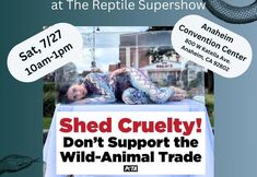 Protest for Animal Rights