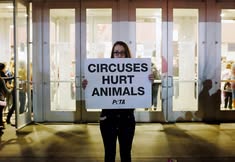 Protest for Animal Rights