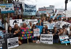 Protest for Animal Rights