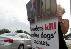 Protest for Animal Rights