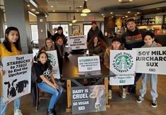 Protest for Animal Rights