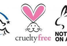 Protest for Animal Rights