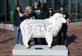 Protest for Animal Rights