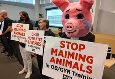 Protest for Animal Rights