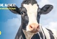 Protest for Animal Rights