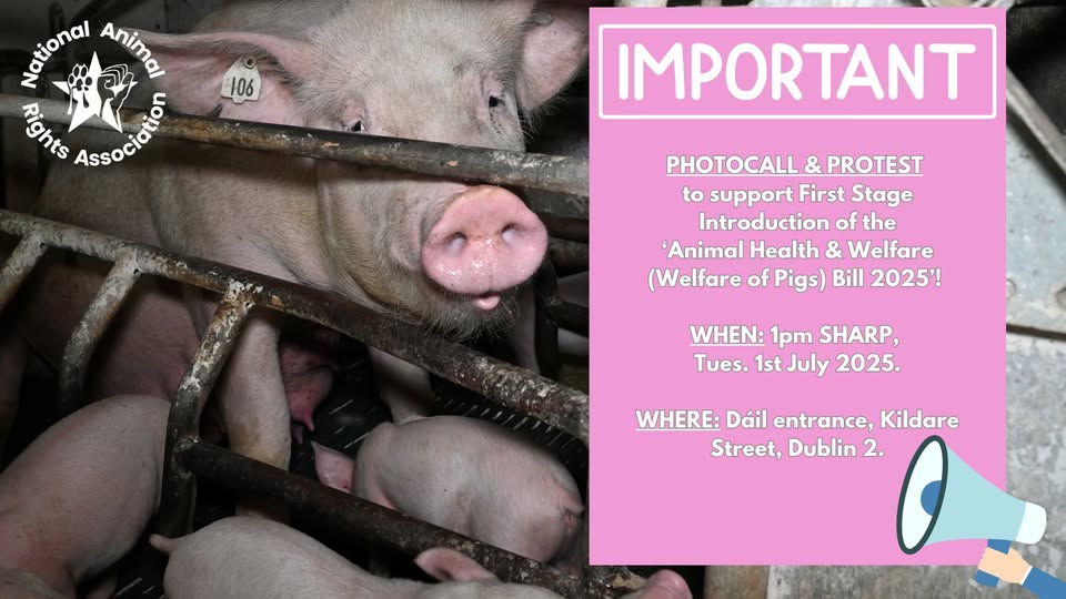 National Animal Rights Association