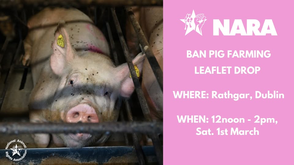 National Animal Rights Association