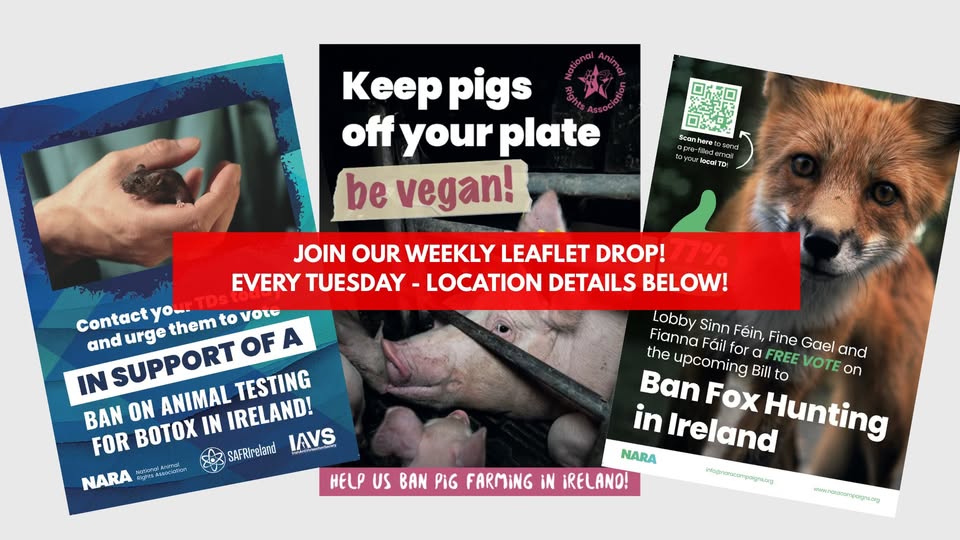 National Animal Rights Association
