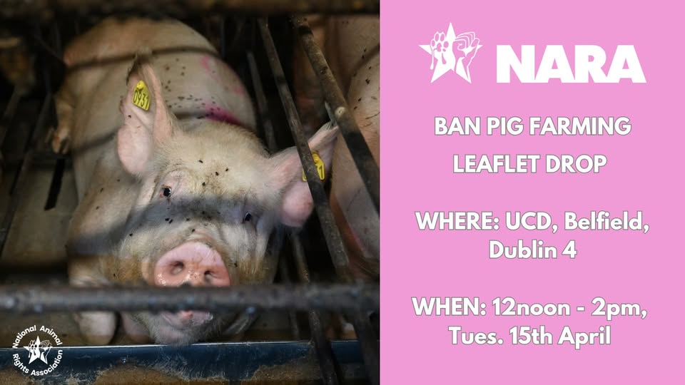 National Animal Rights Association
