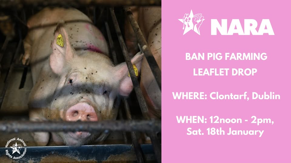 National Animal Rights Association