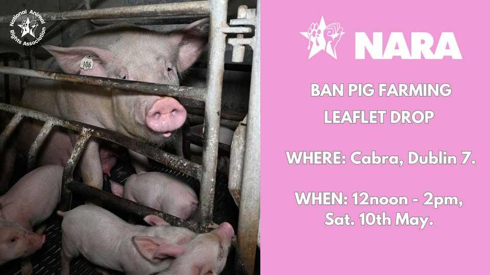National Animal Rights Association