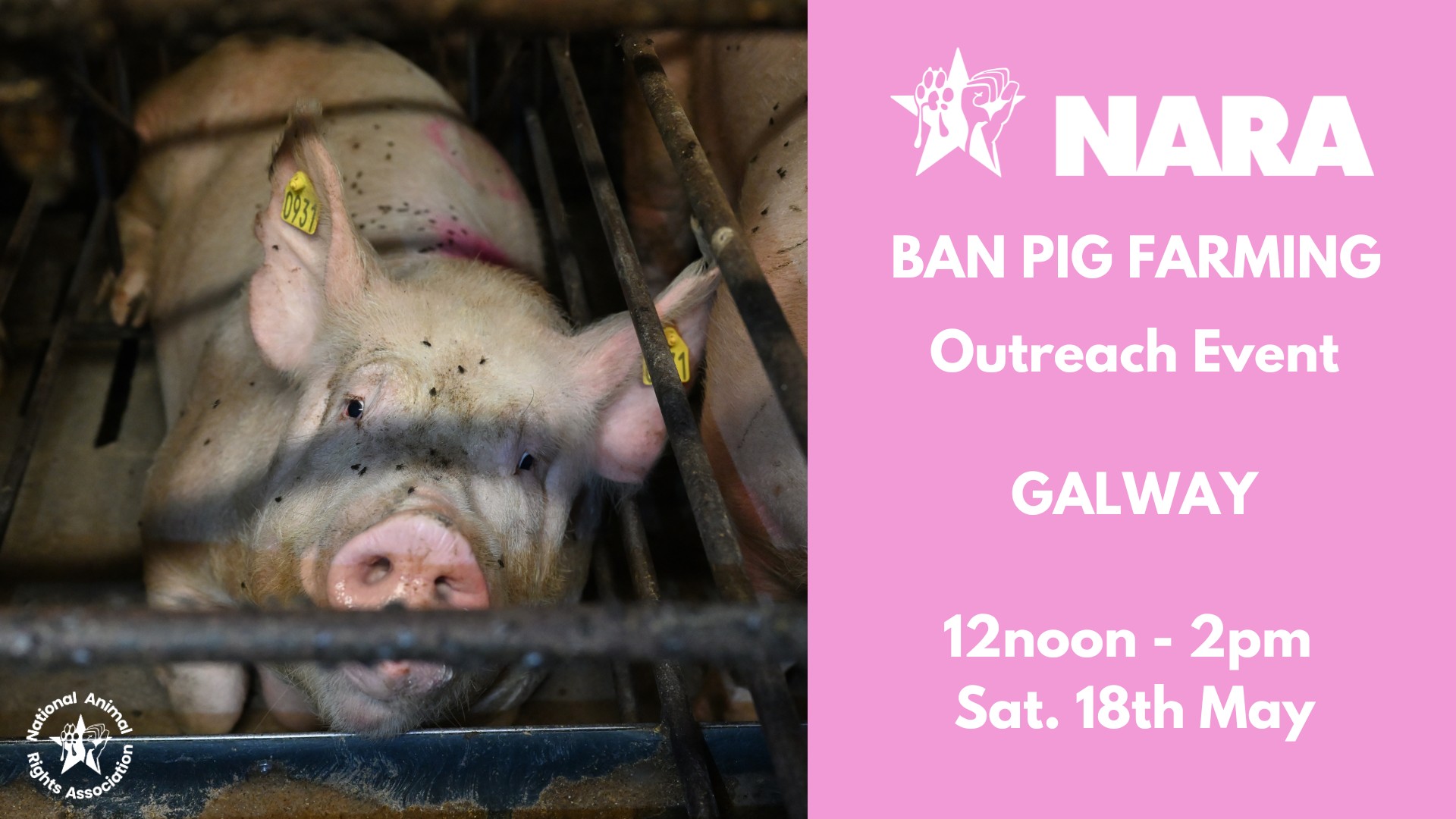National Animal Rights Association