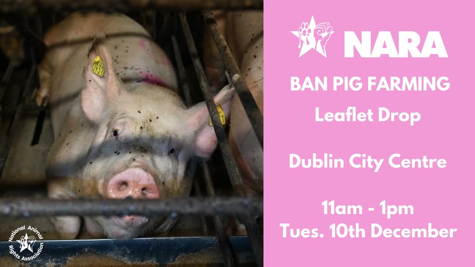 National Animal Rights Association
