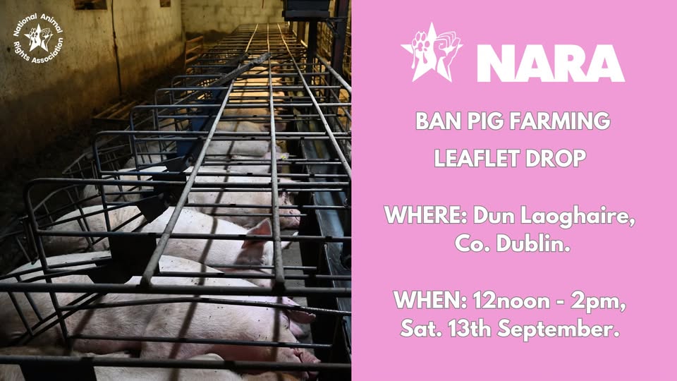 National Animal Rights Association