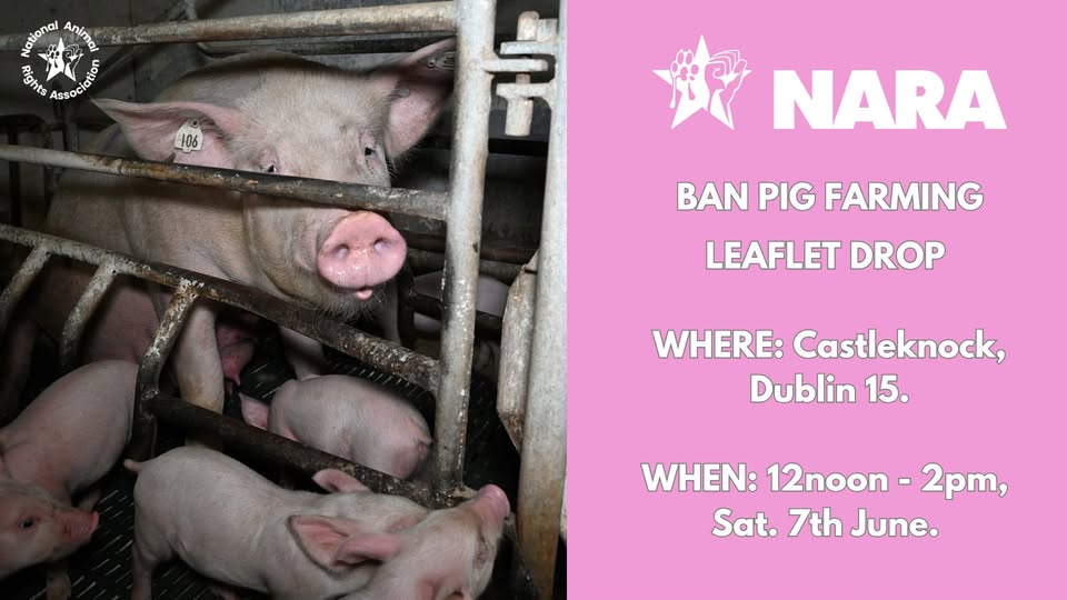 National Animal Rights Association