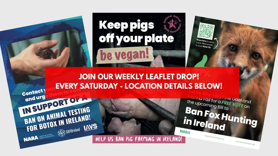 National Animal Rights Association