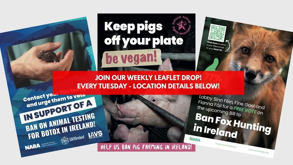 National Animal Rights Association