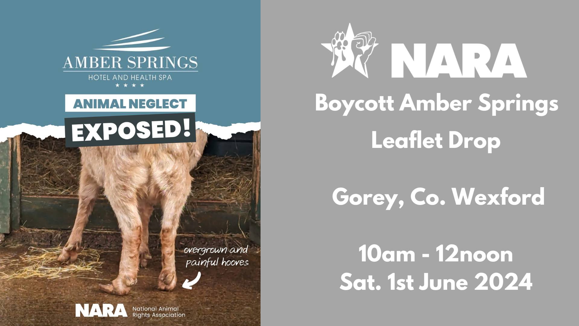 National Animal Rights Association