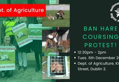 National Animal Rights Association