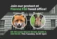 National Animal Rights Association