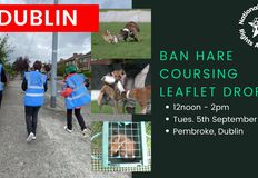 National Animal Rights Association