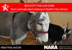 National Animal Rights Association