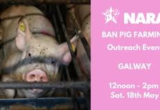 National Animal Rights Association