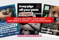 National Animal Rights Association