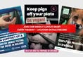 National Animal Rights Association