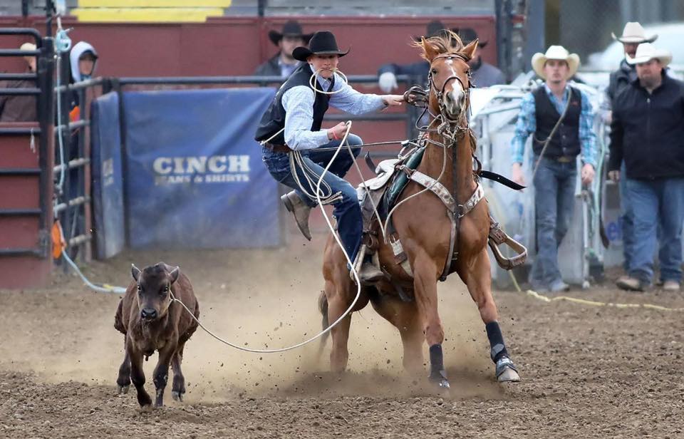 Utah Animal Rights Coalition - UARC