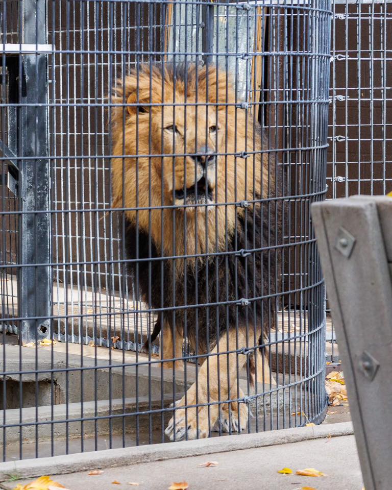 Utah Animal Rights Coalition - UARC