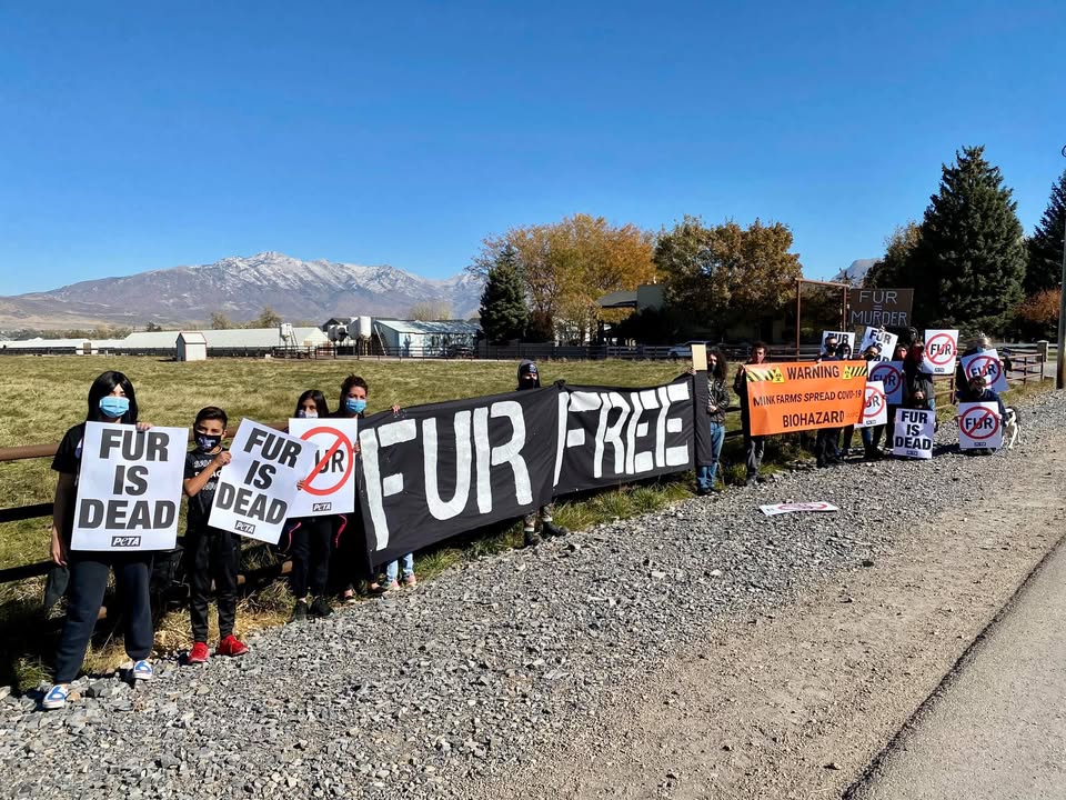 Utah Animal Rights Coalition - UARC