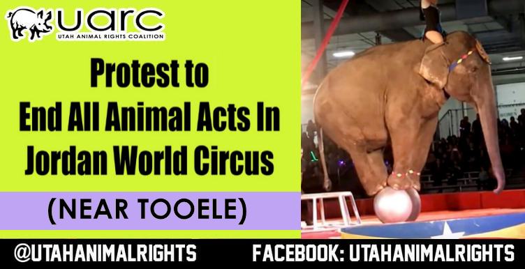 Utah Animal Rights Coalition - UARC