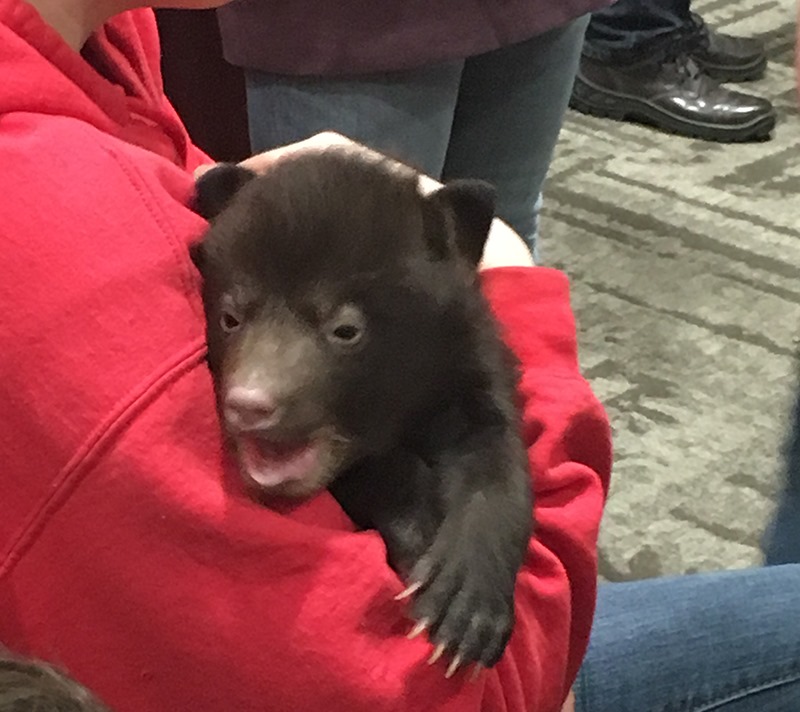 Utah Animal Rights Coalition - UARC