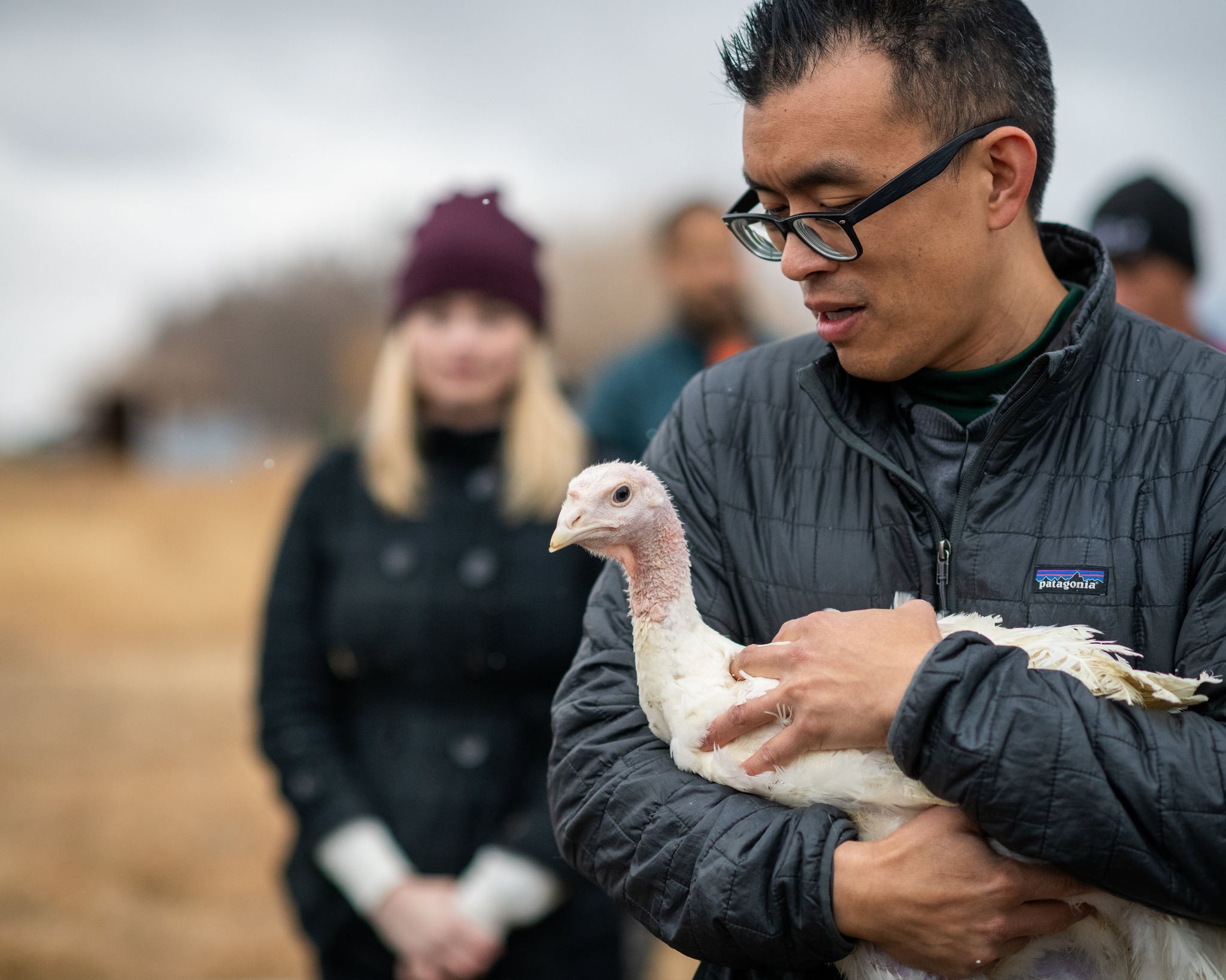 Utah Animal Rights Coalition - UARC