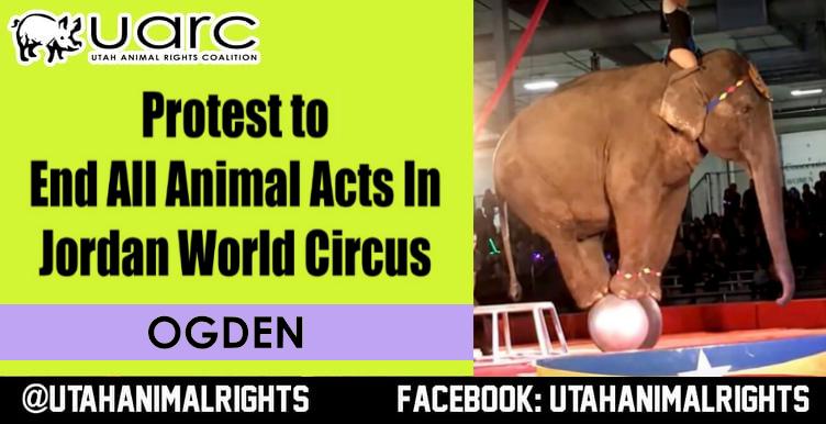 Utah Animal Rights Coalition - UARC