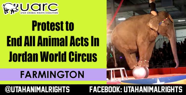 Utah Animal Rights Coalition - UARC