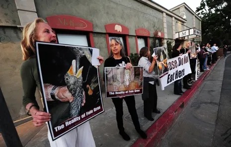 Utah Animal Rights Coalition - UARC