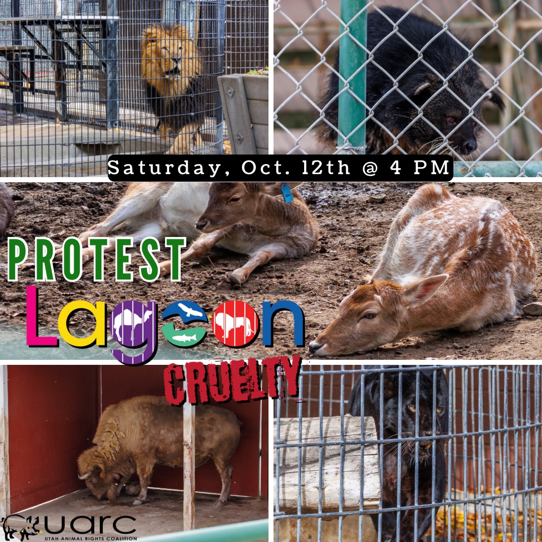 Utah Animal Rights Coalition - UARC