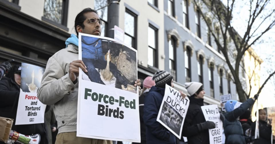 Utah Animal Rights Coalition - UARC