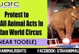 Utah Animal Rights Coalition - UARC