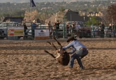 Utah Animal Rights Coalition - UARC