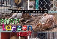 Utah Animal Rights Coalition - UARC