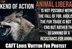 Utah Animal Rights Coalition - UARC