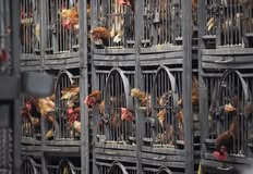 Friends Of Animals United NJ - FAUN